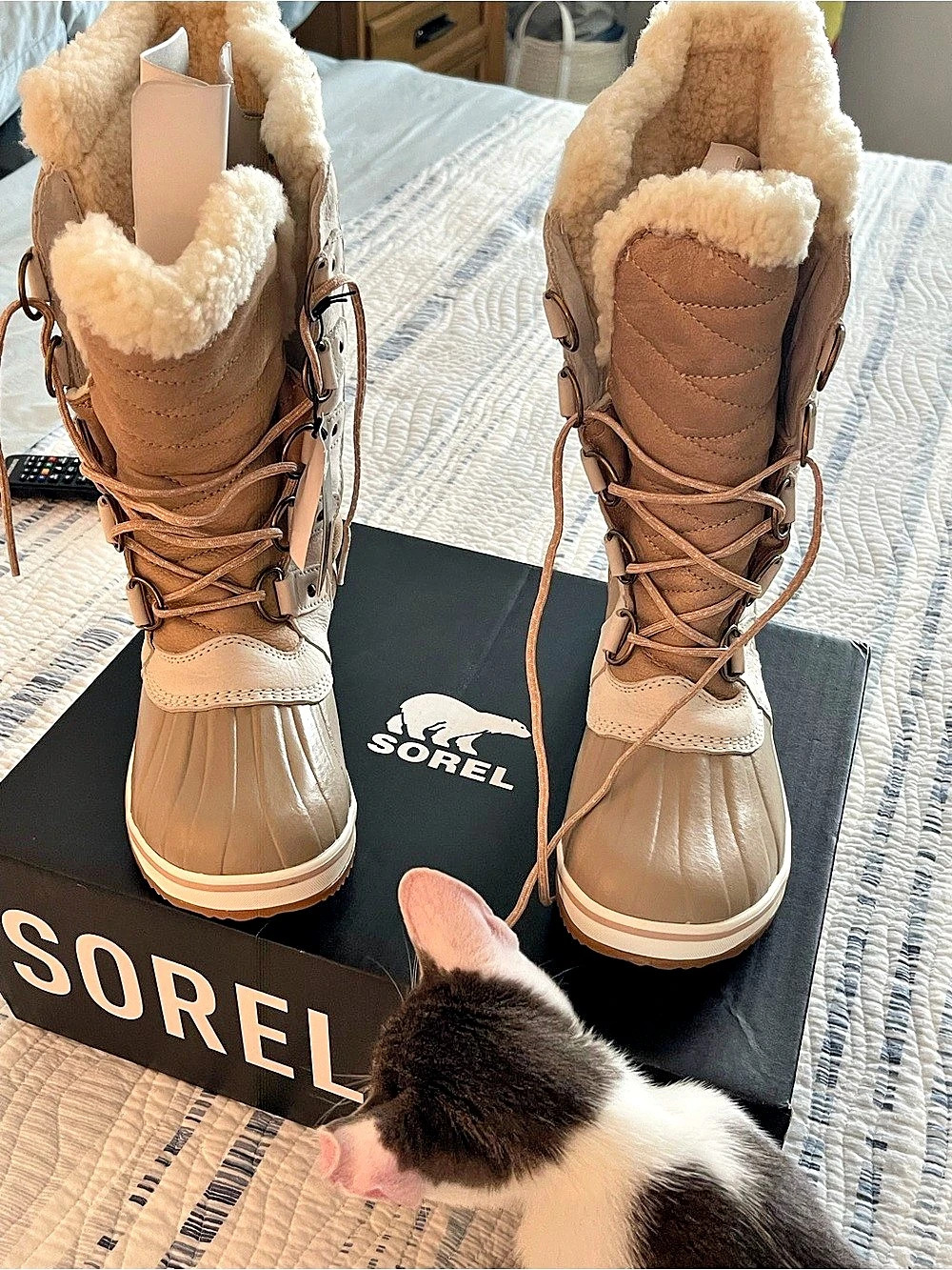 Sorel Joan of Arctic Waterproof Boot in Brown & White
